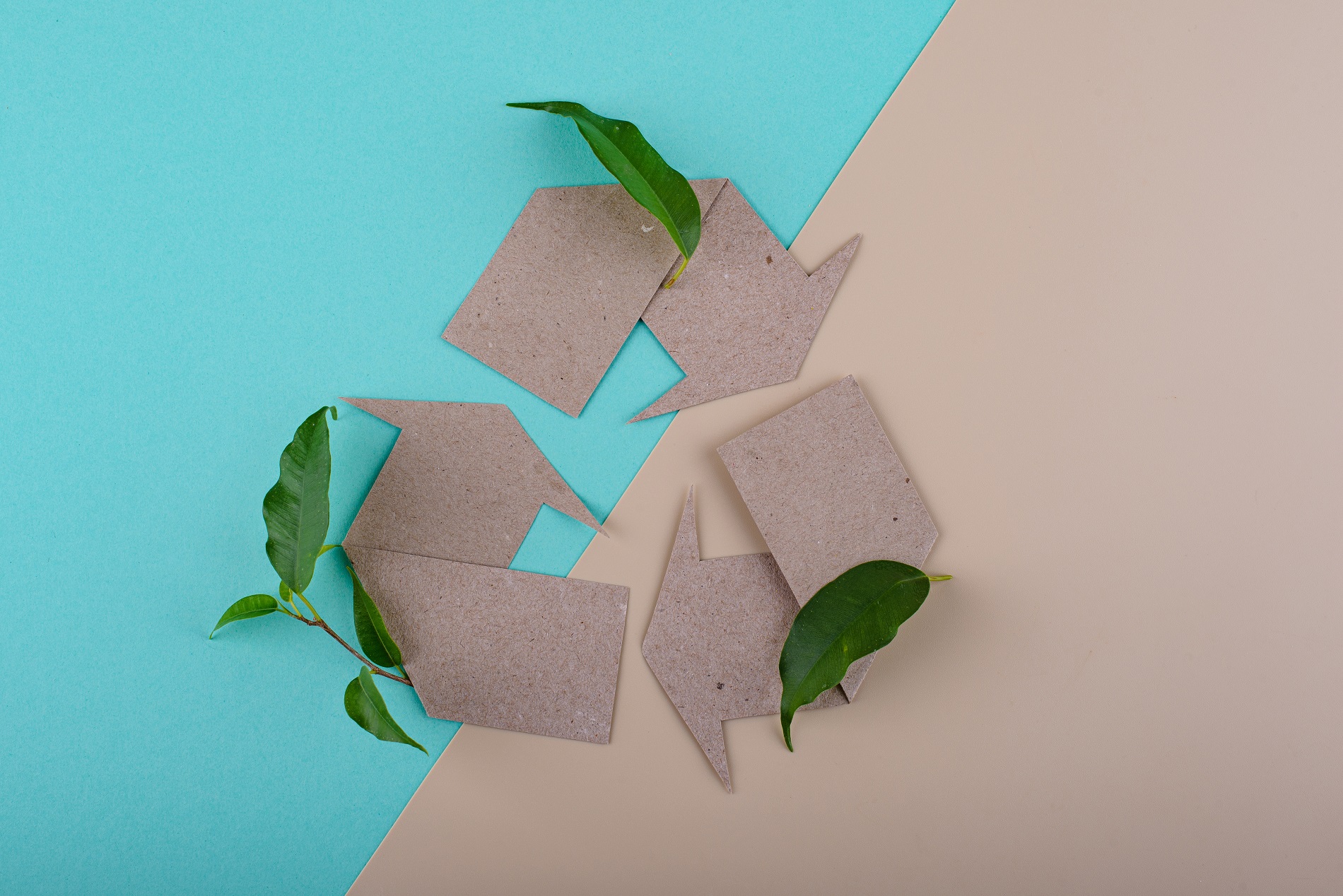 Eco-Friendly Commitment